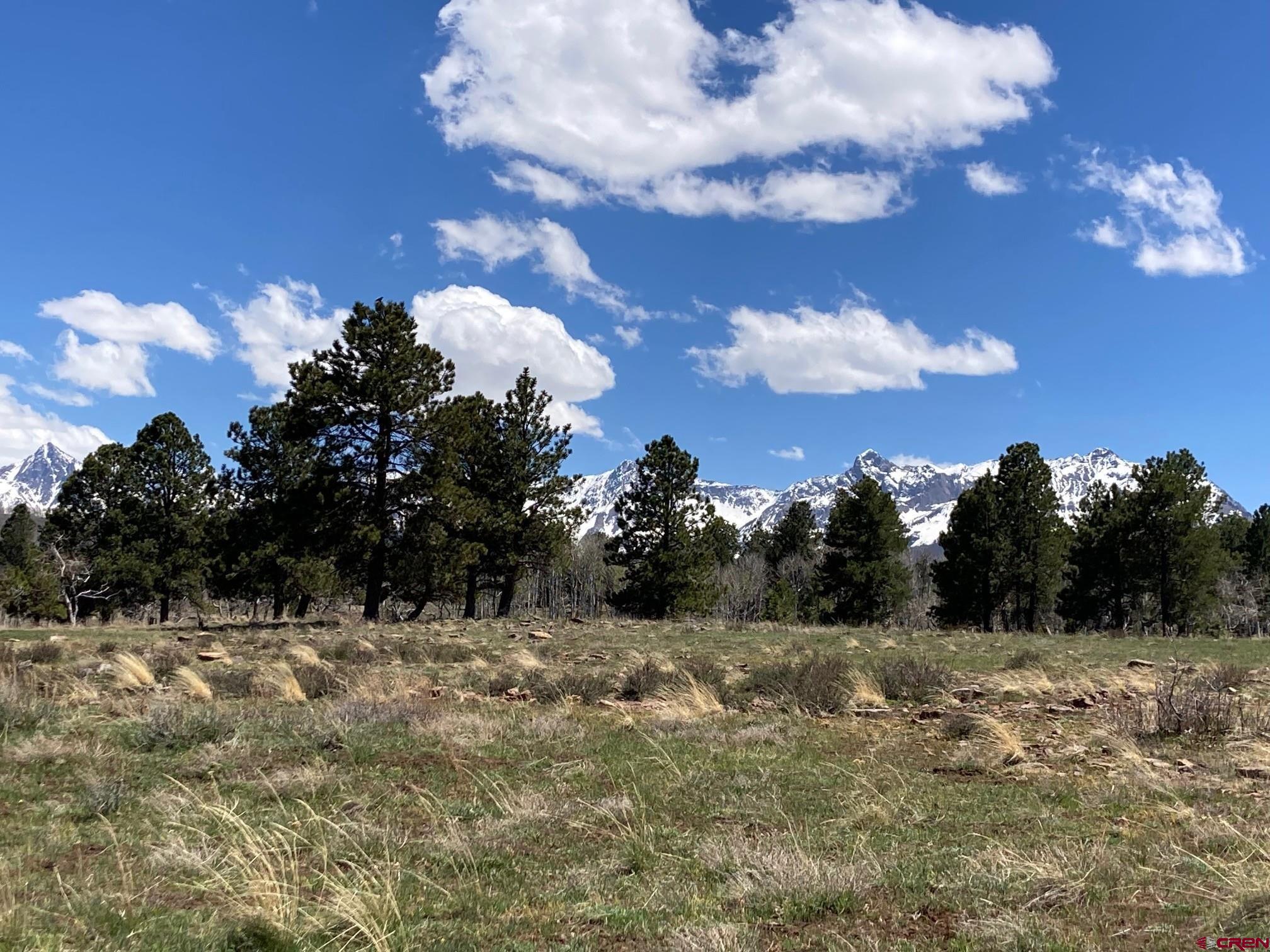 Lot 14 62x Road Placerville, CO 81430 - Photo 10 of 11