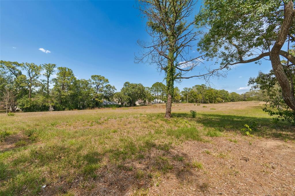 10491 Casa Grande Circle Spring Hill, FL 34608 - Photo 53 of 57