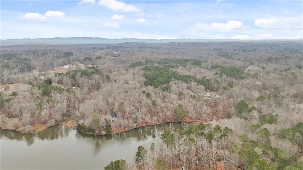 1075 Johnson Brady Road Canton, GA 30115 - Photo 3 of 30 a view of a lake in middle of forest