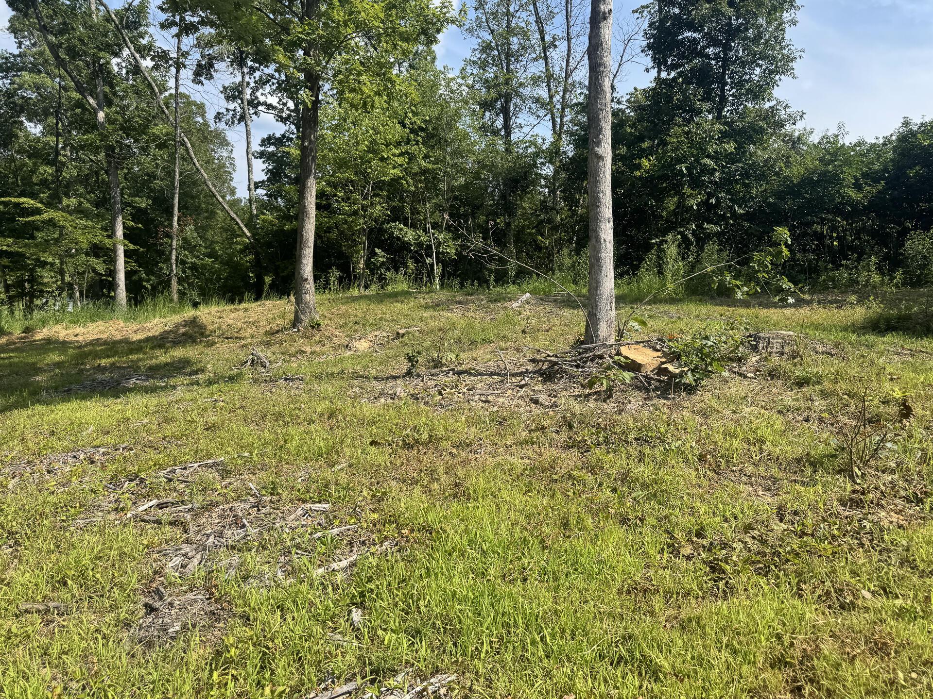 56 Golf Course Road, Unit TRACT 14 SKYLINEACRES) Waverly, OH 45690 - Photo 25 of 51 CT-25