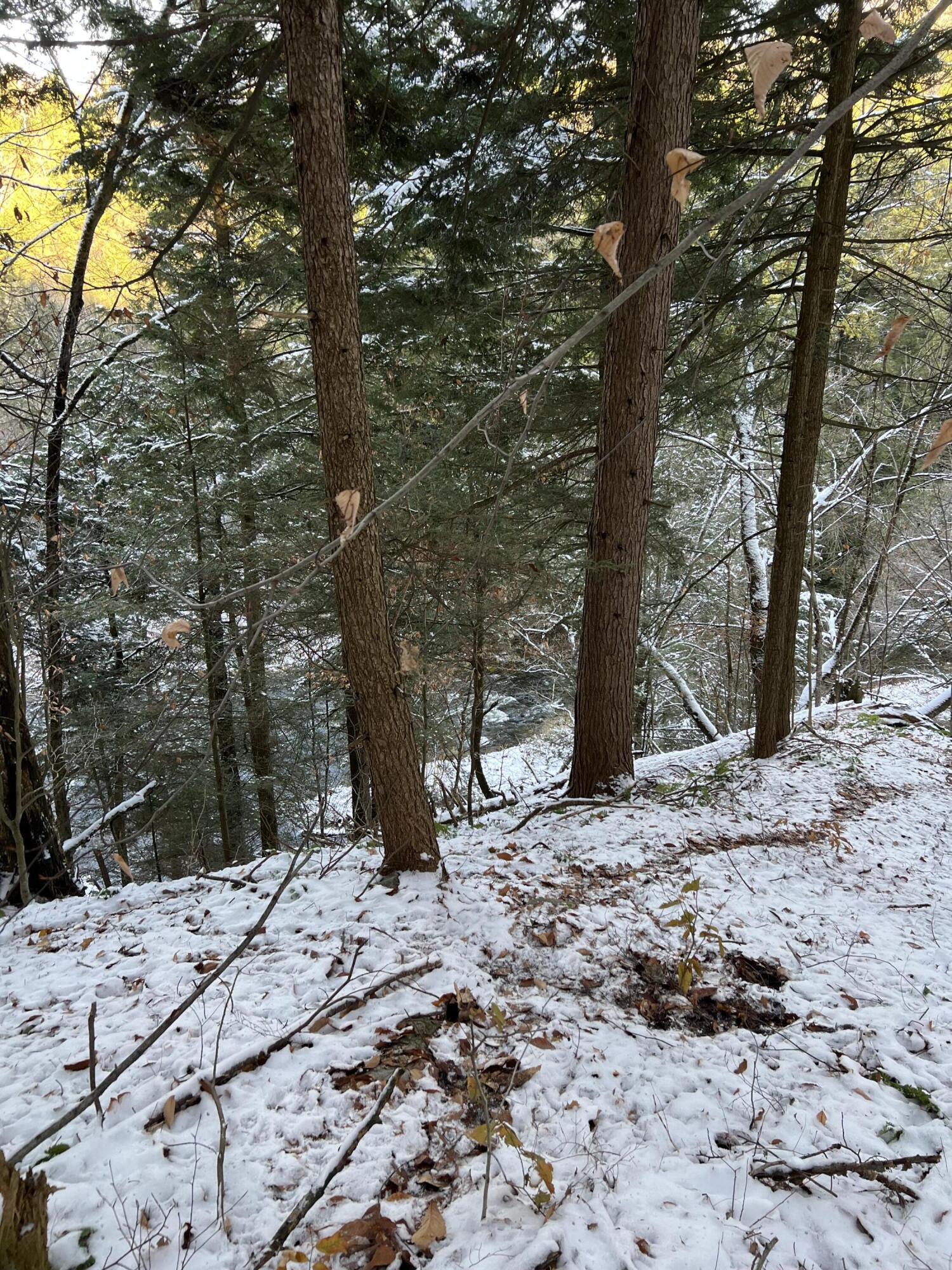 . Lewis Road Chateaugay, NY 12920 - Photo 12 of 14 Gallery Image 12