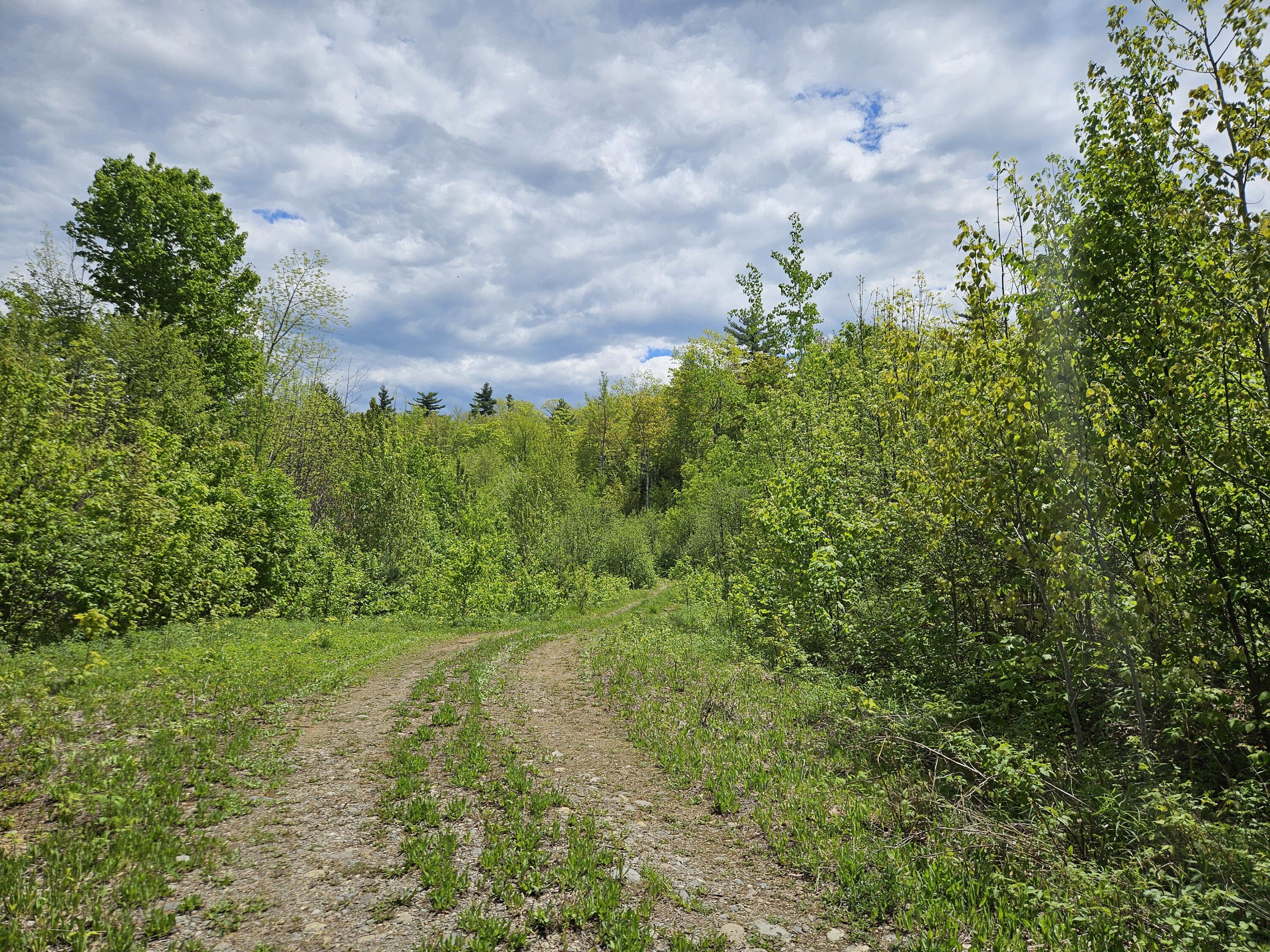 2 Mud Pond Road Madrid Township, ME 04966 - Photo 21 of 42 Madrid Lot