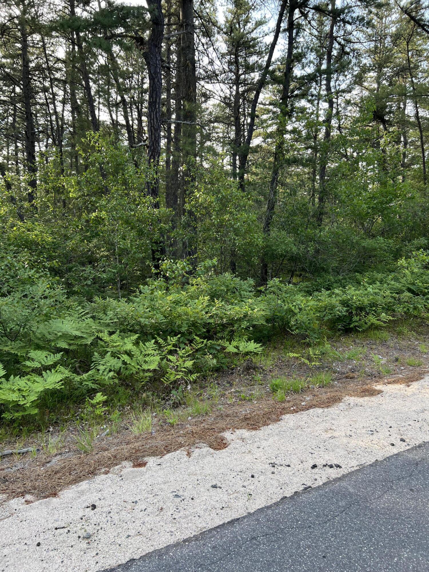 0 Mann Road Shapleigh, ME 04076 - Photo 1 of 3 IMG-7130