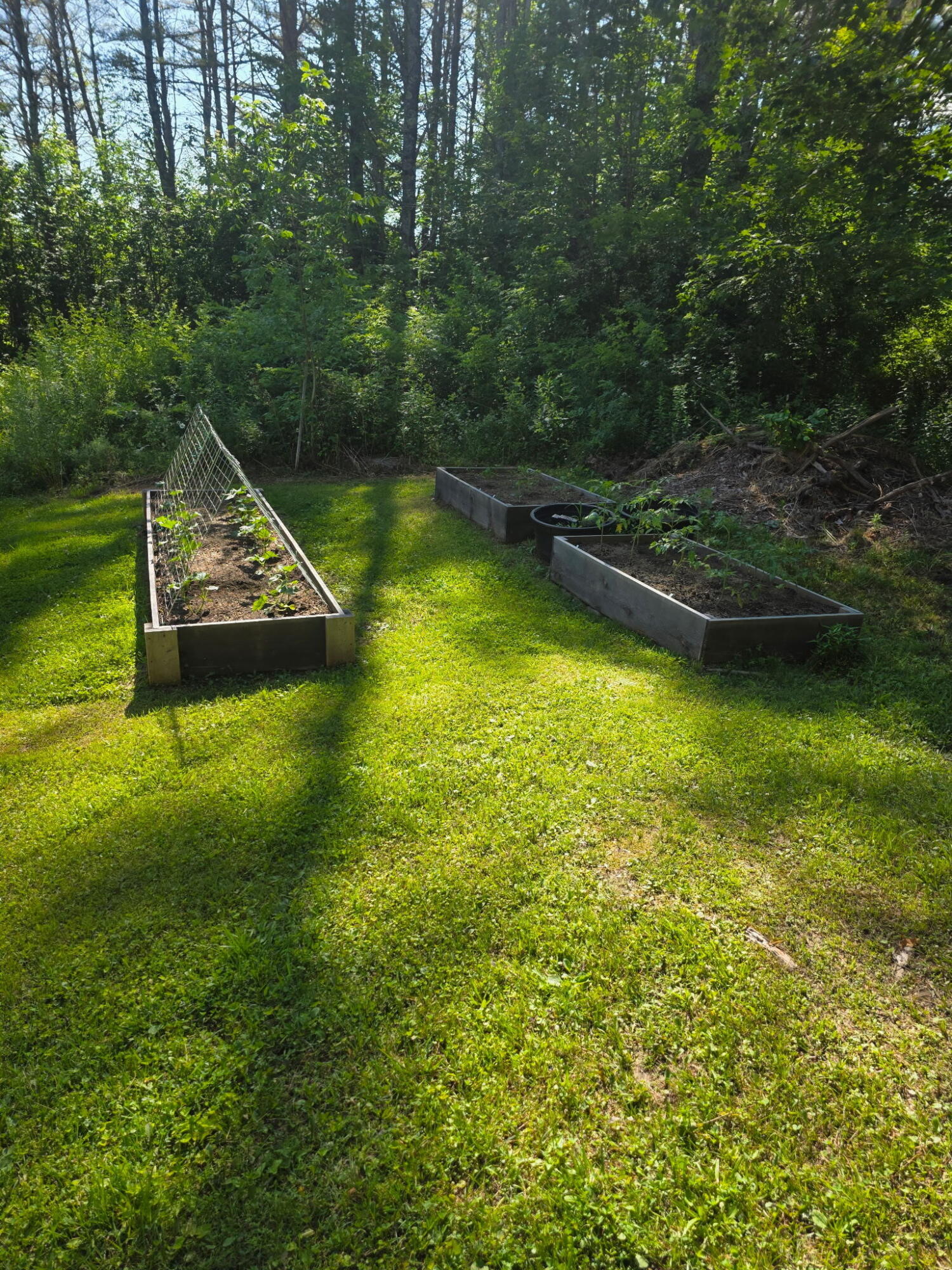 32 Pound Hill Road Union, ME 04862 - Photo 17 of 37 Gardens