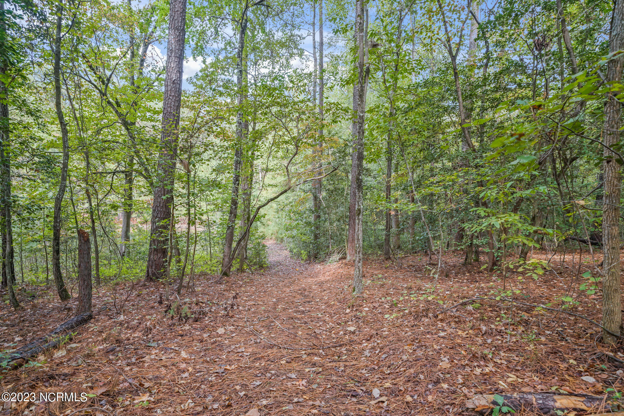 2352 County Line Road Cameron, NC 28326 - Photo 6 of 38 27-DSC08751