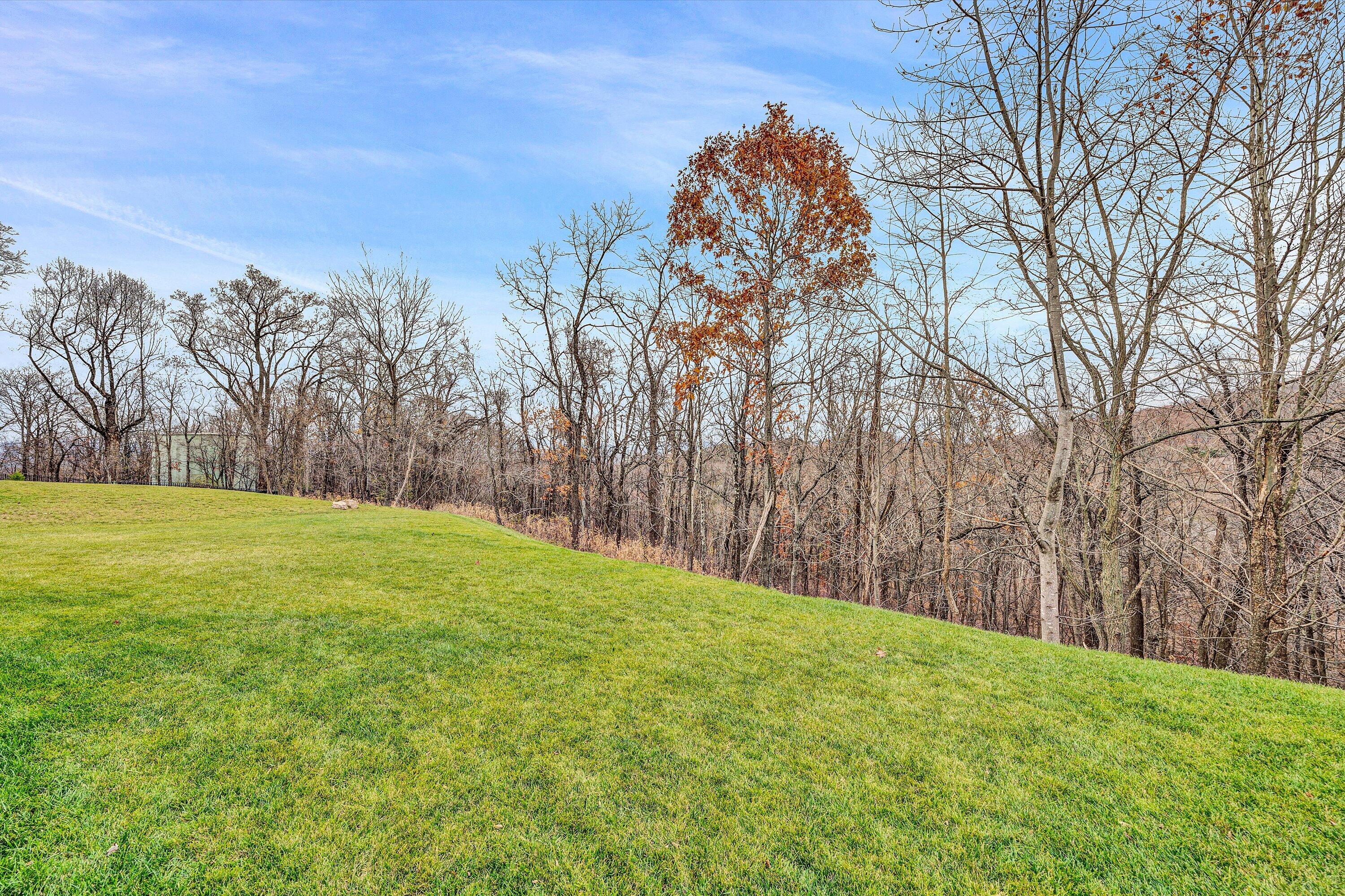 6901 Fairway Ridge Road Salem, VA 24153 - Photo 50 of 58 a backyard of a house with lots of green space