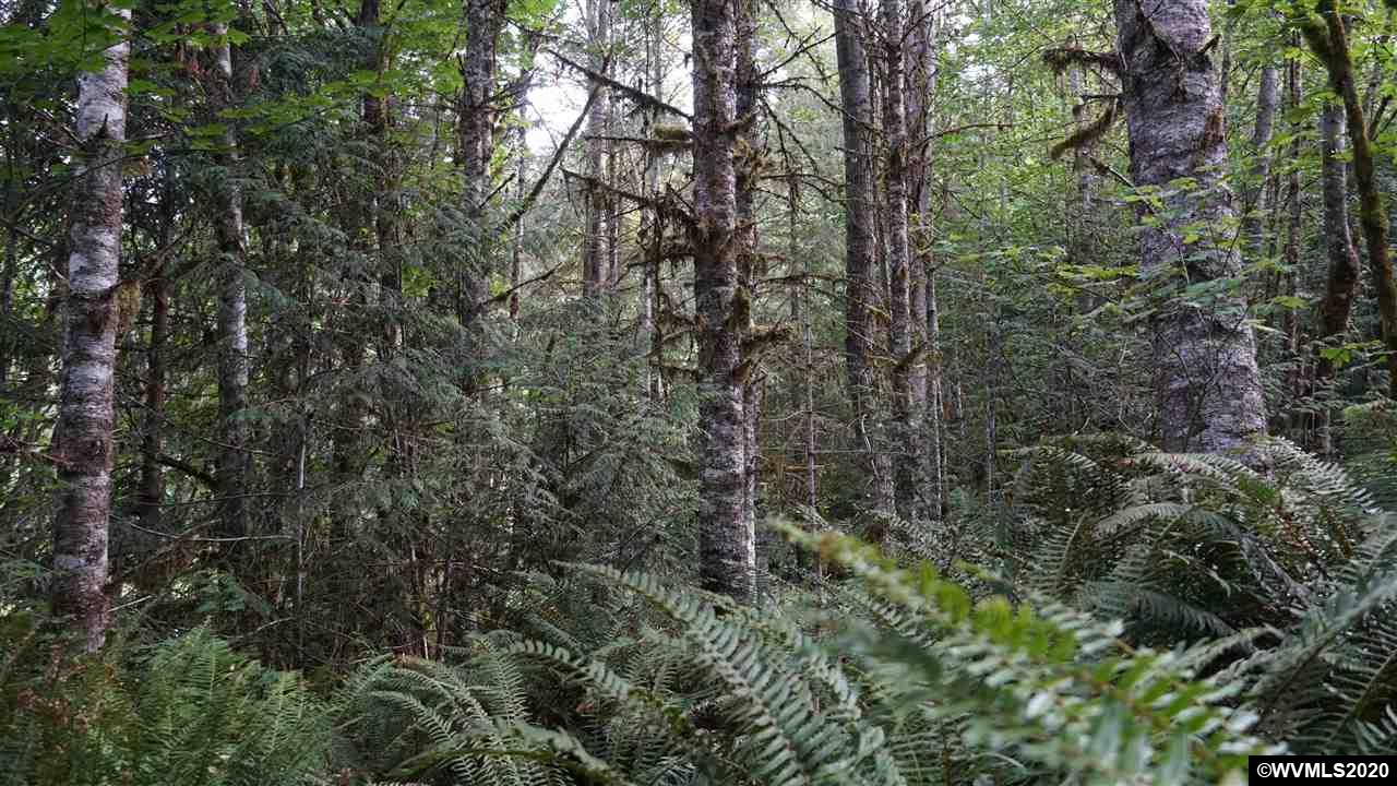 33600 Southwest Sw Highway Sandy, OR 97055 - Photo 8 of 32