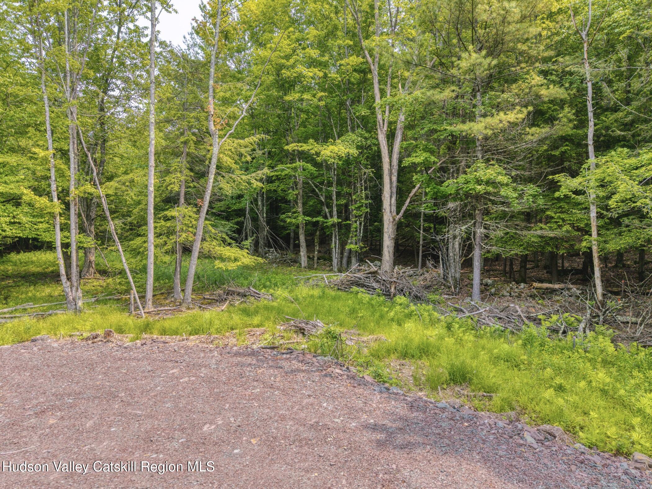 Tbd Boulder Brook Road Windham, NY 12496 - Photo 11 of 49 a view of a backyard with swimming pool