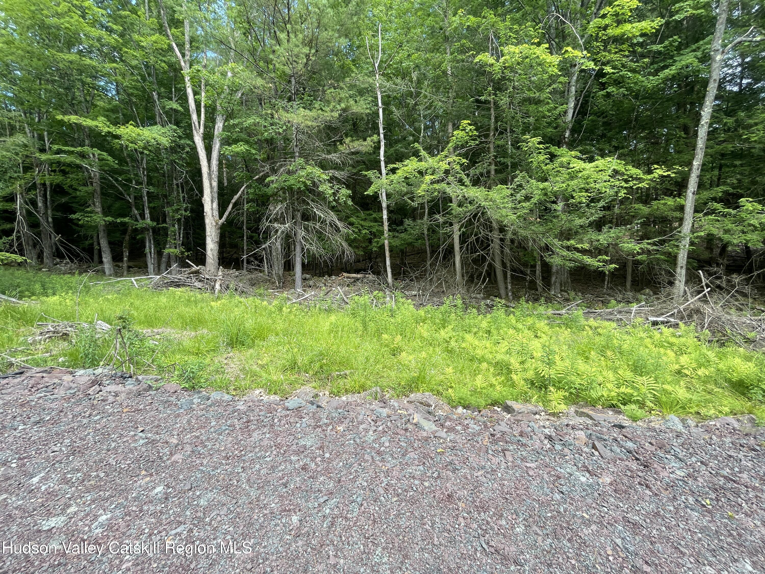 Tbd Boulder Brook Road Windham, NY 12496 - Photo 12 of 49 a view of a backyard with plants and large trees