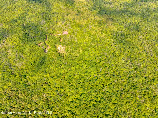 a view of a green field with lots of bushes
