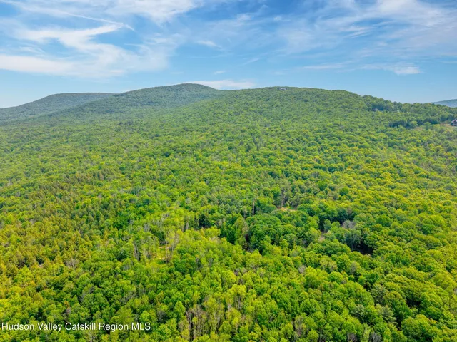a view of a lush green forest with a mountain