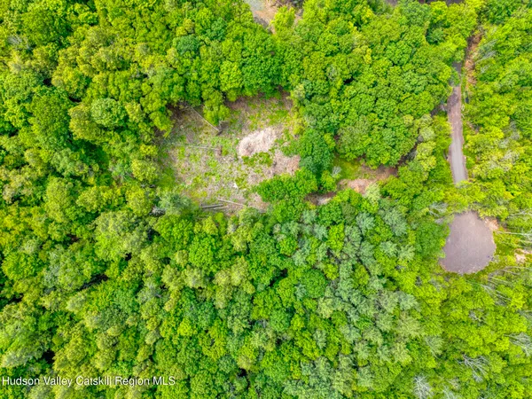 a view of a green field with lots of bushes