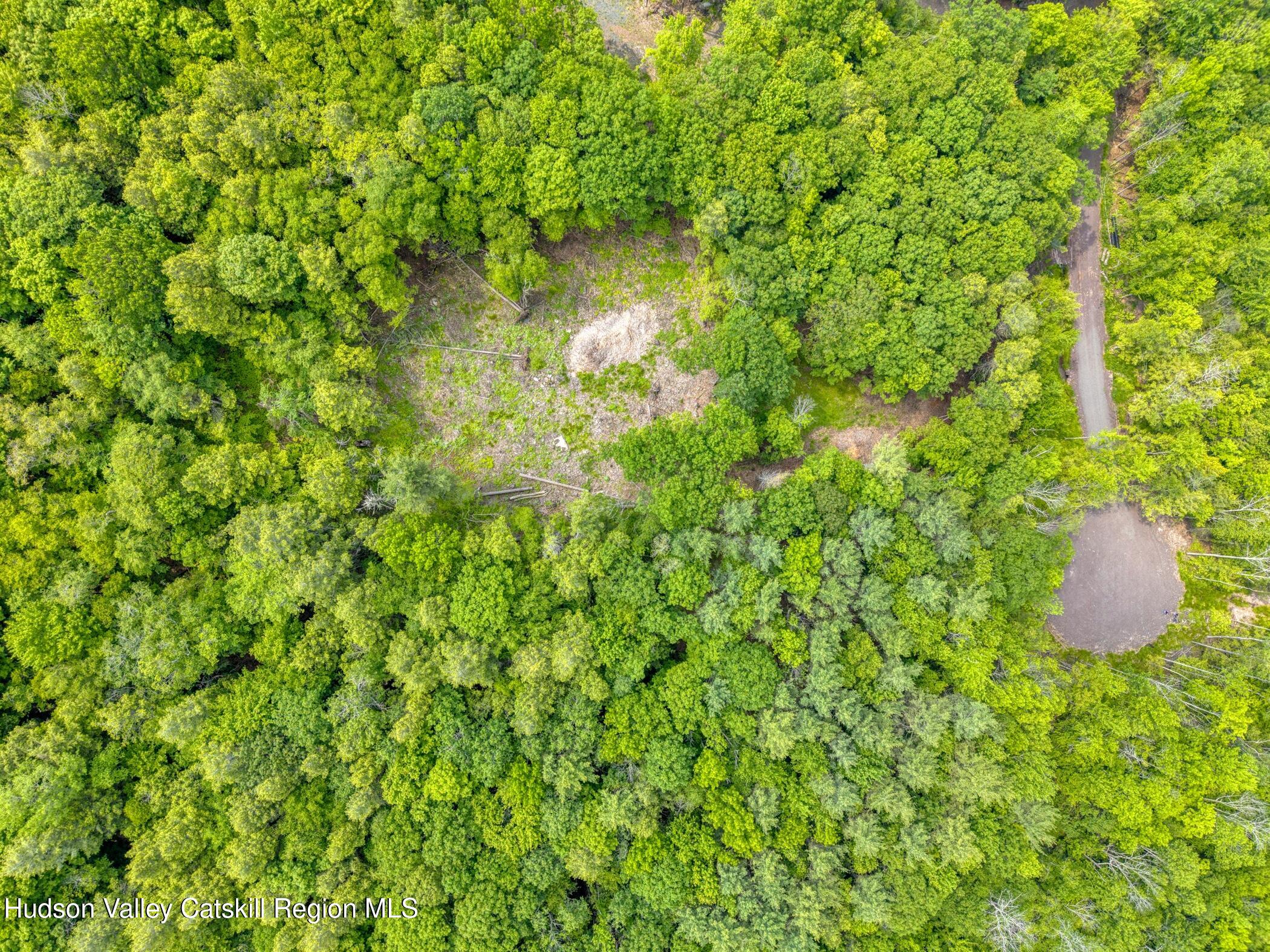 Tbd Boulder Brook Road Windham, NY 12496 - Photo 29 of 49 a backyard of a house with lots of green space