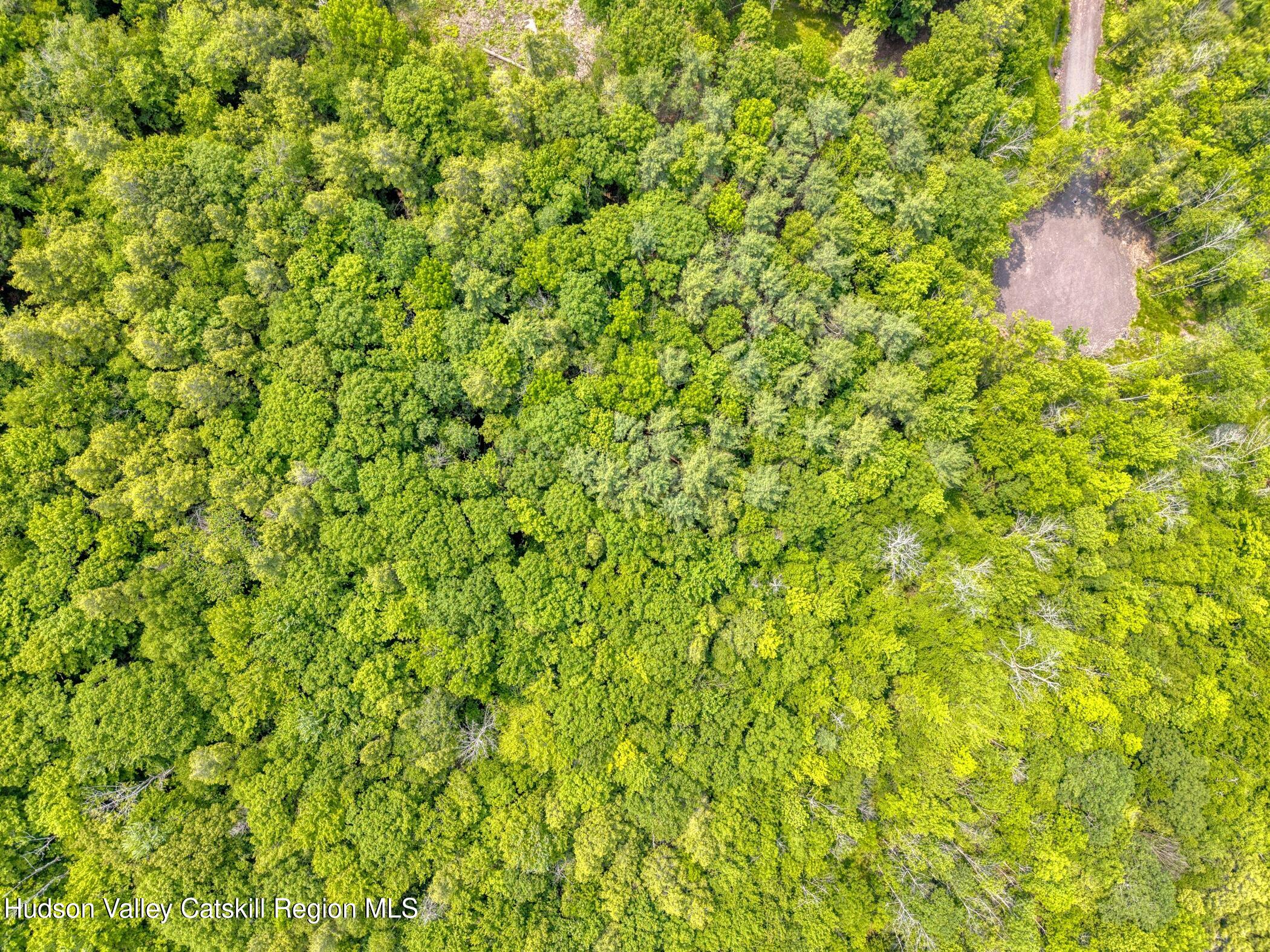 Tbd Boulder Brook Road Windham, NY 12496 - Photo 34 of 49 a backyard of a house with a tree
