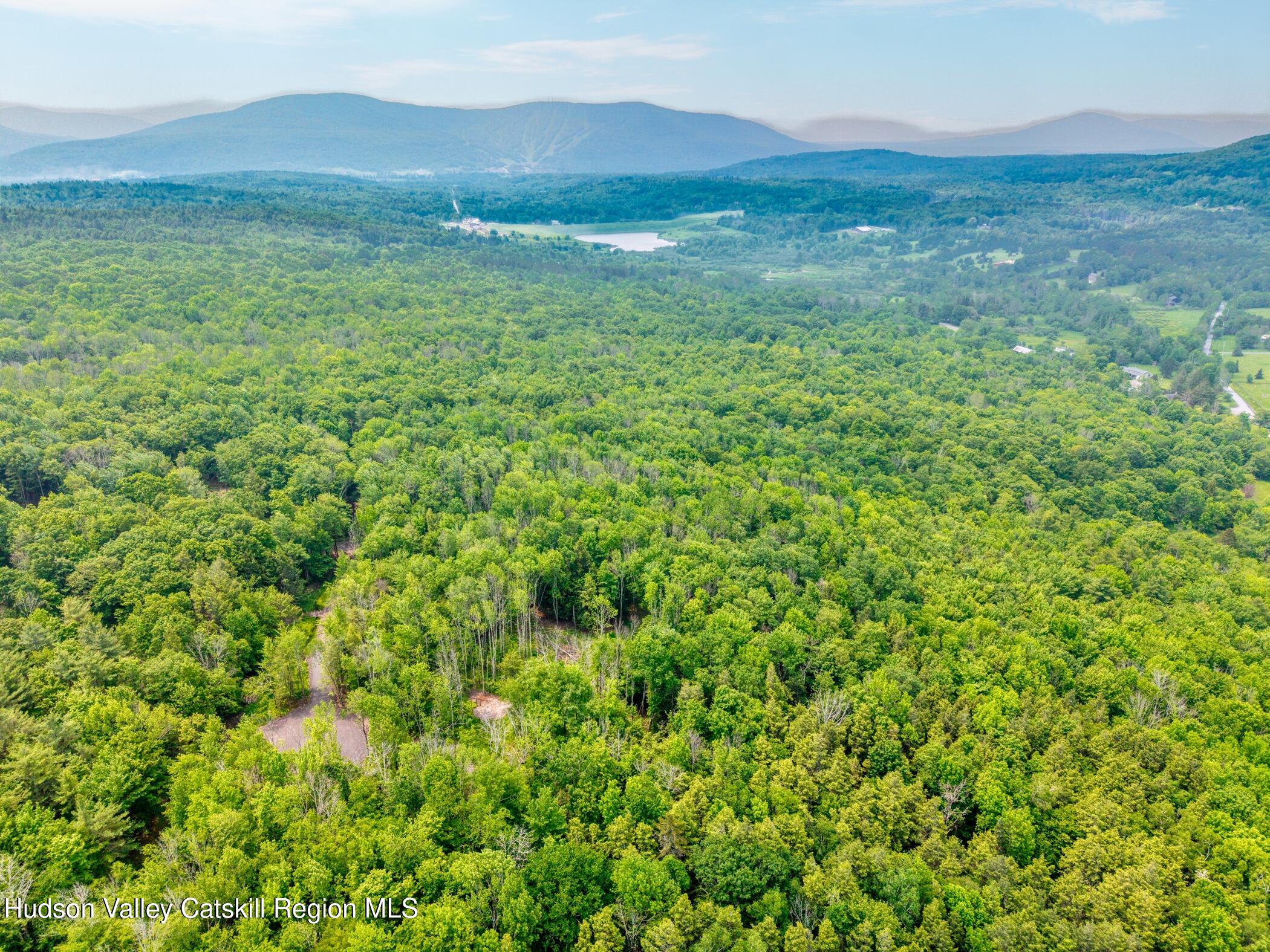 Tbd Boulder Brook Road Windham, NY 12496 - Photo 37 of 49 a view of an lush green mountain