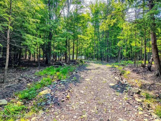 a view of a pathway with a yard