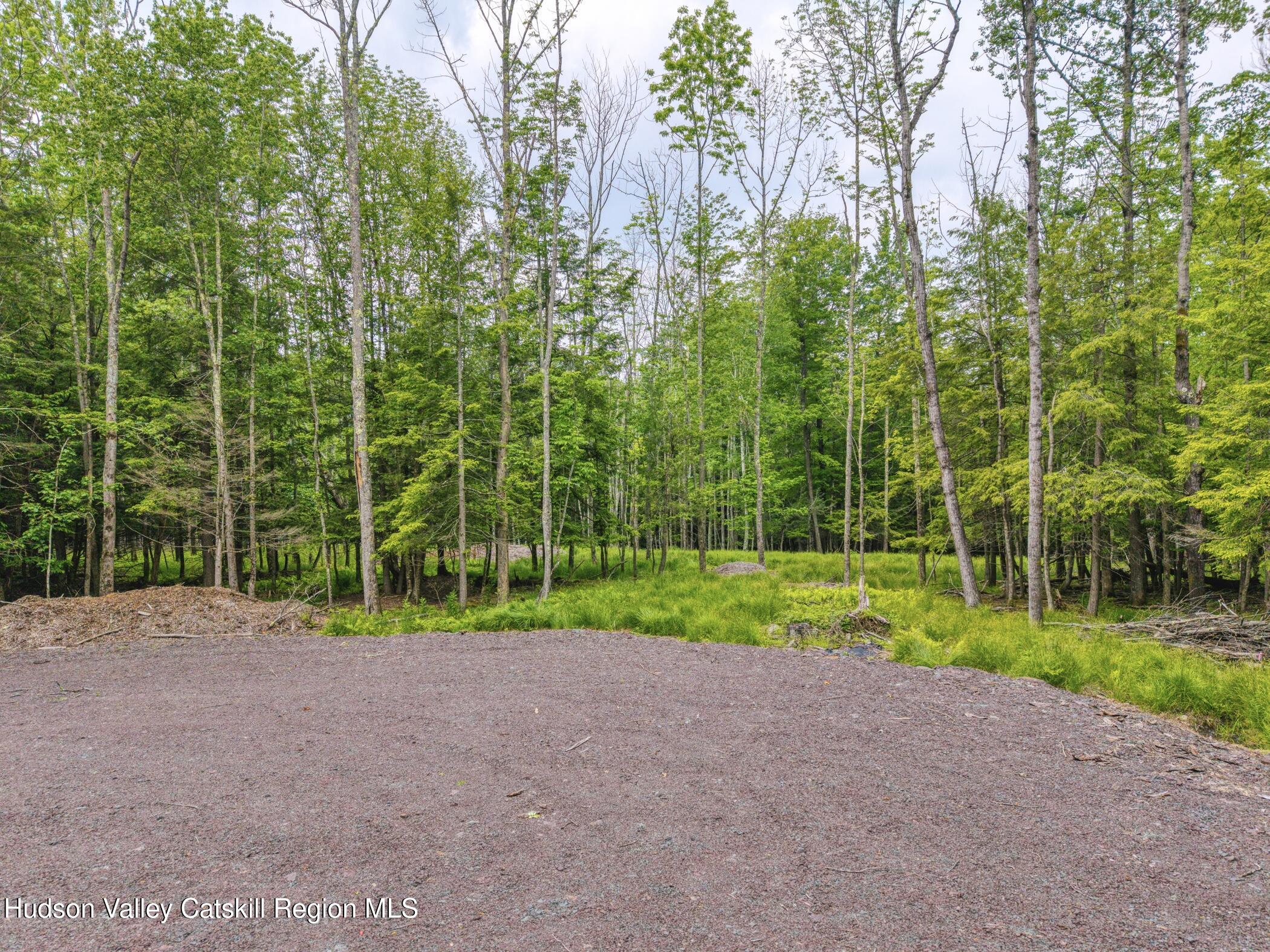 Tbd Boulder Brook Road Windham, NY 12496 - Photo 47 of 49 a view of a park with large trees