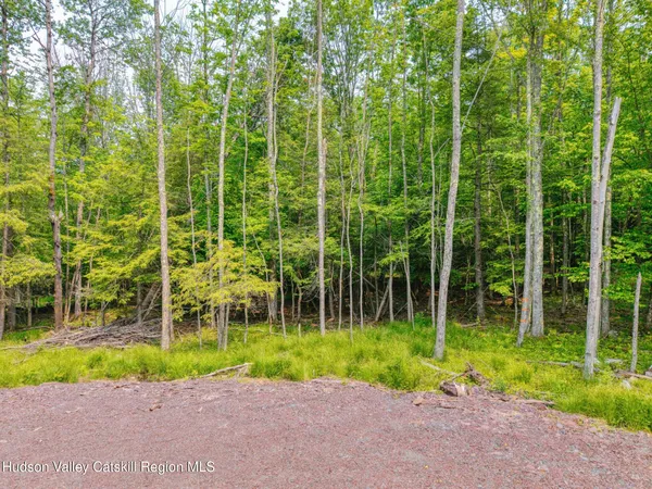 $149,000 | Tbd Boulder Brook Road, Windham, NY 12496