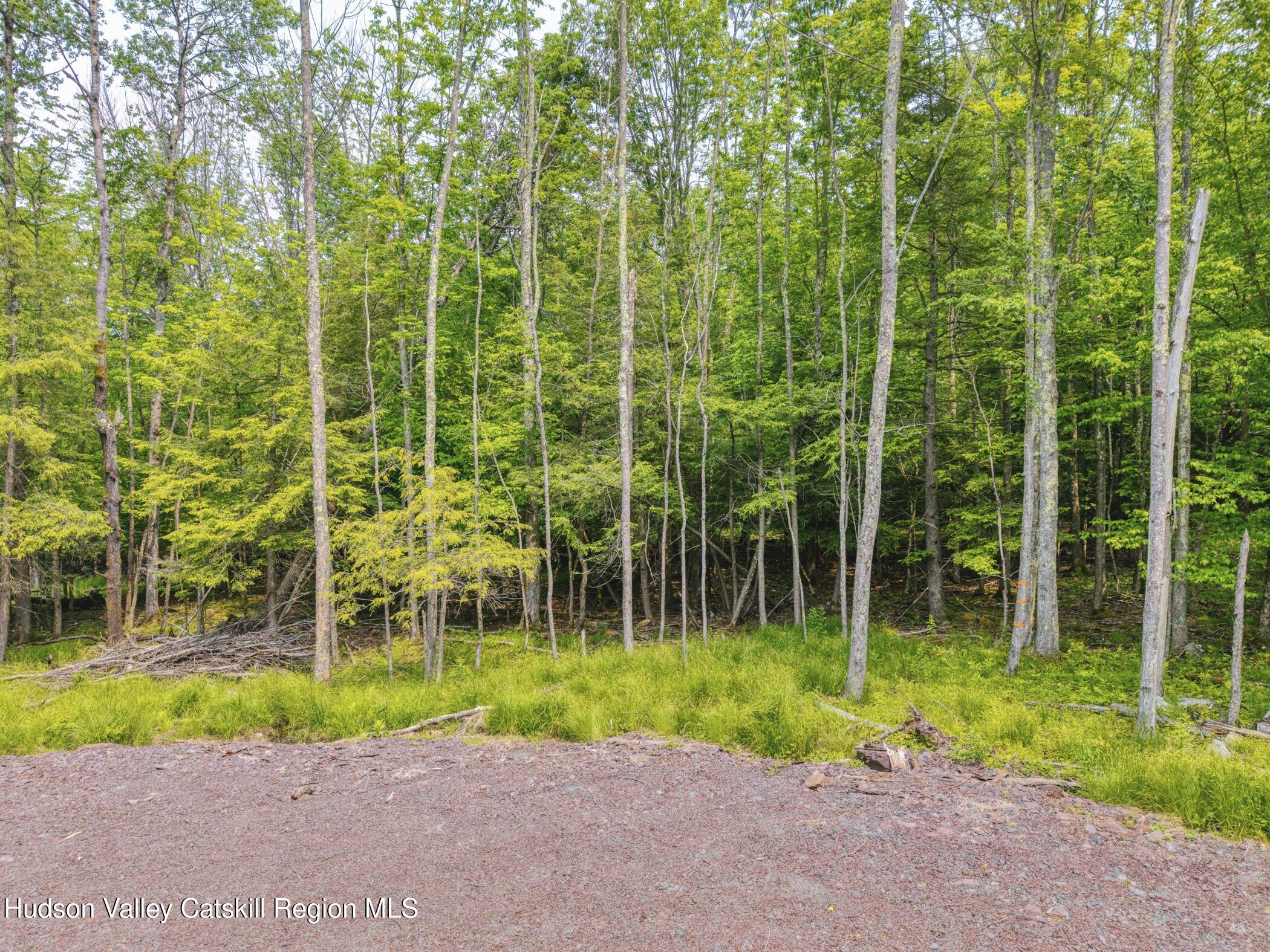 Tbd Boulder Brook Road Windham, NY 12496 - Photo 48 of 49 a view of backyard with green space