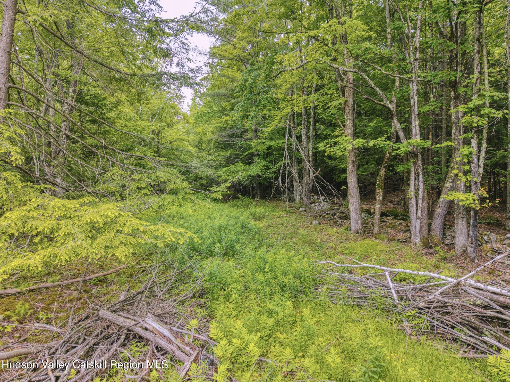 Tbd Boulder Brook Road Windham, NY 12496 - Photo 6 of 49 a view of a basketball court