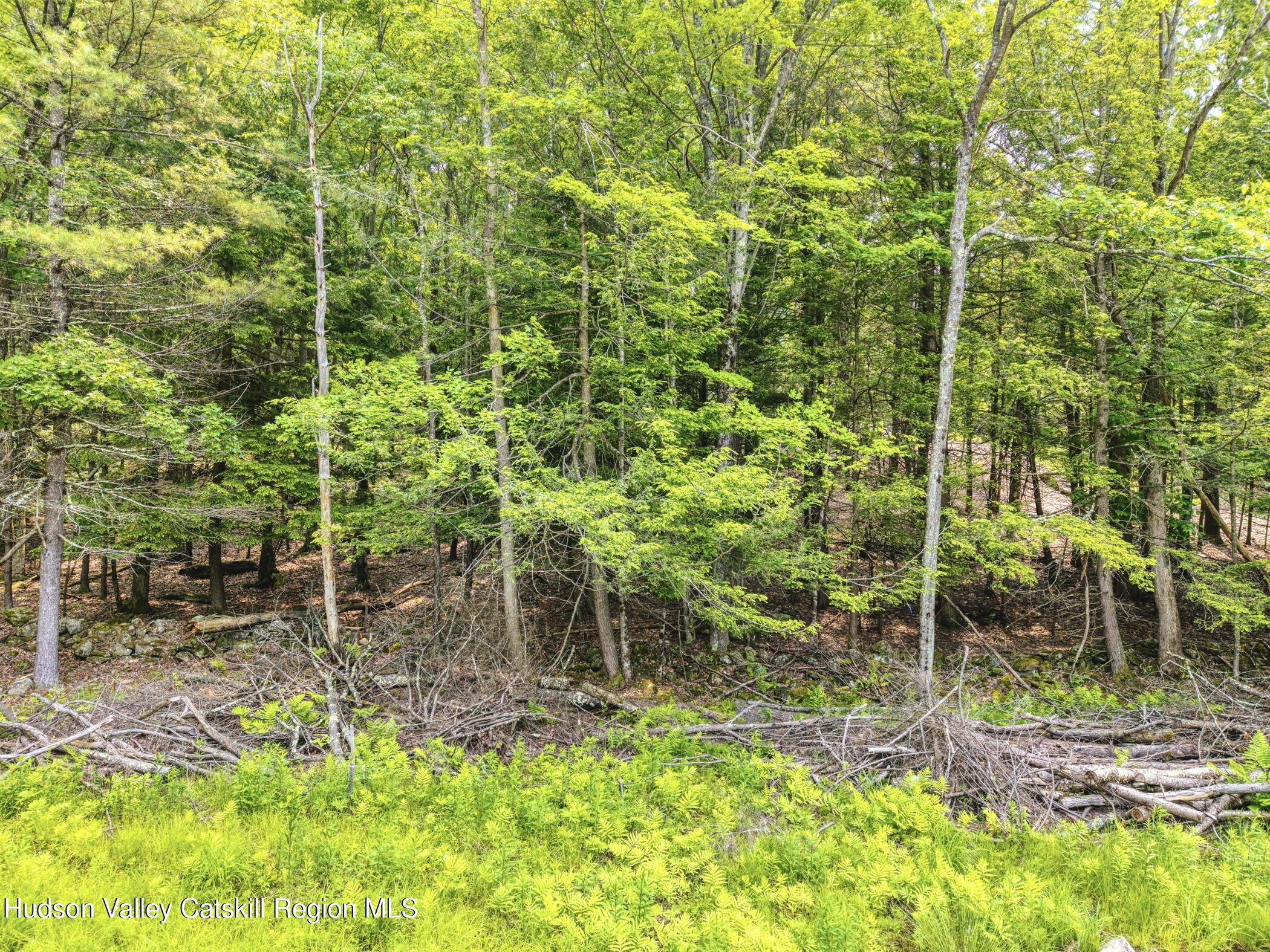 Tbd Boulder Brook Road Windham, NY 12496 - Photo 7 of 49 a backyard of a house with lots of green space