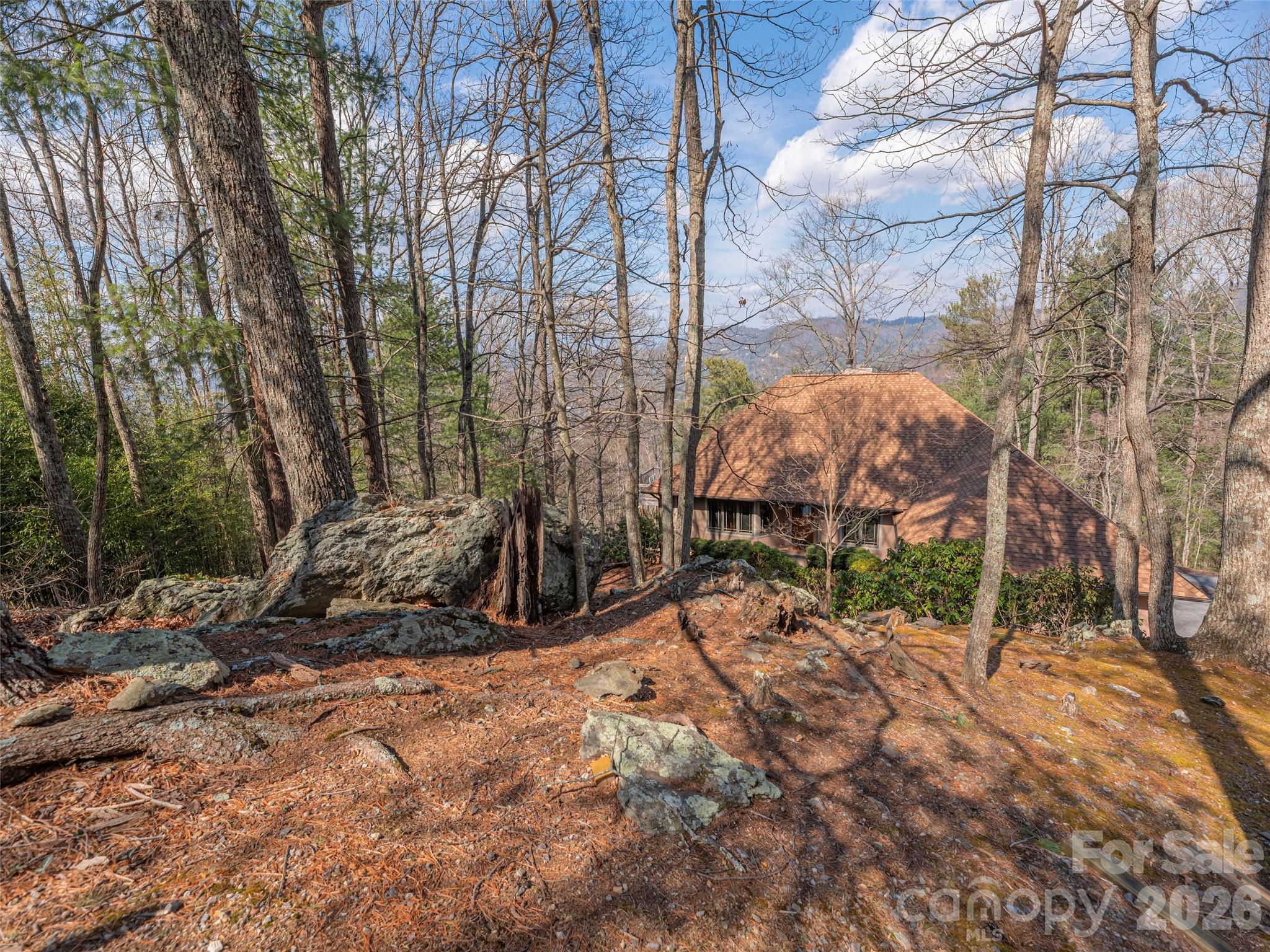 68 Crestwood Road Asheville, NC 28804 - Photo 35 of 37 a view of backyard with large trees and plants