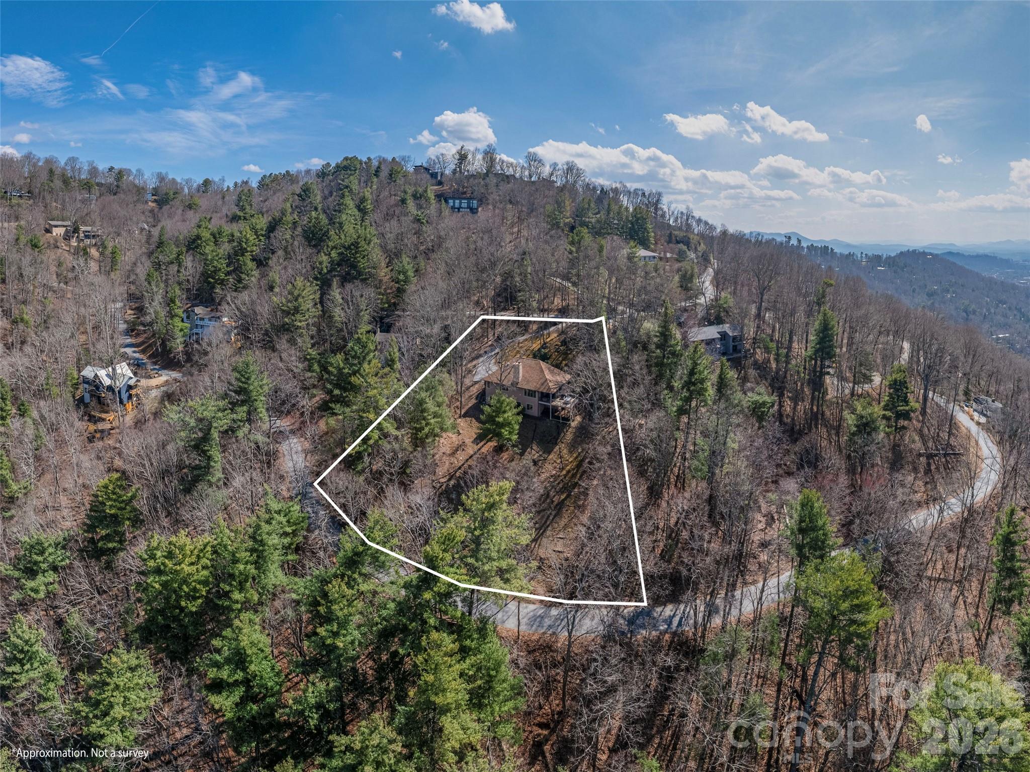 68 Crestwood Road Asheville, NC 28804 - Photo 37 of 37 a view of a forest with a mountain