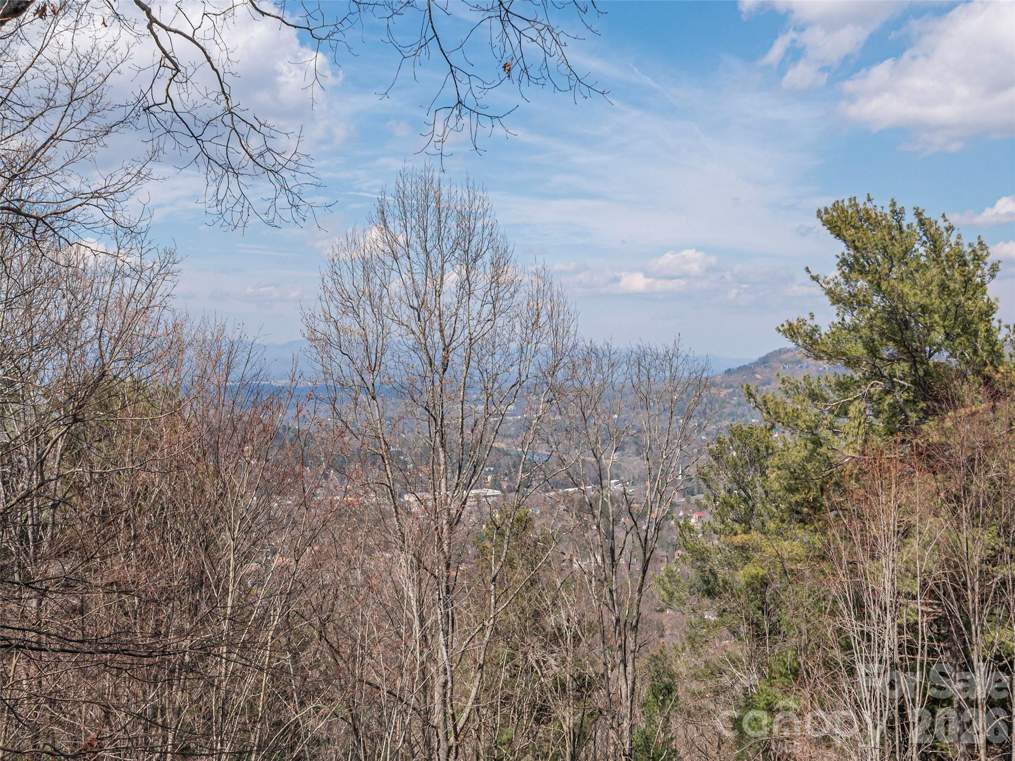 68 Crestwood Road Asheville, NC 28804 - Photo 10 of 37 a view of a yard of a house