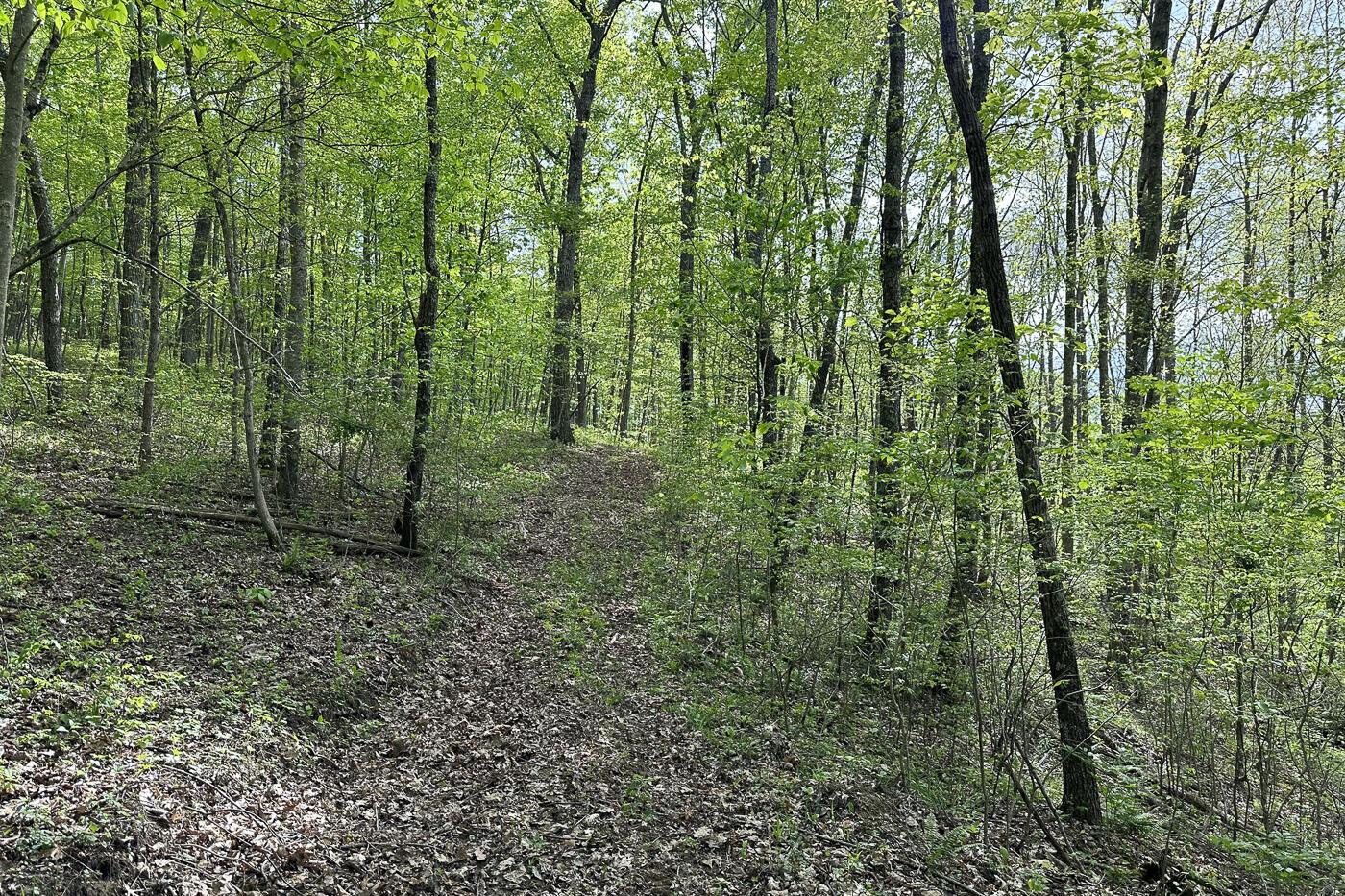 0 Jisco Road, Unit TRACT A) Jackson, OH 45640 - Photo 41 of 65 CT-41