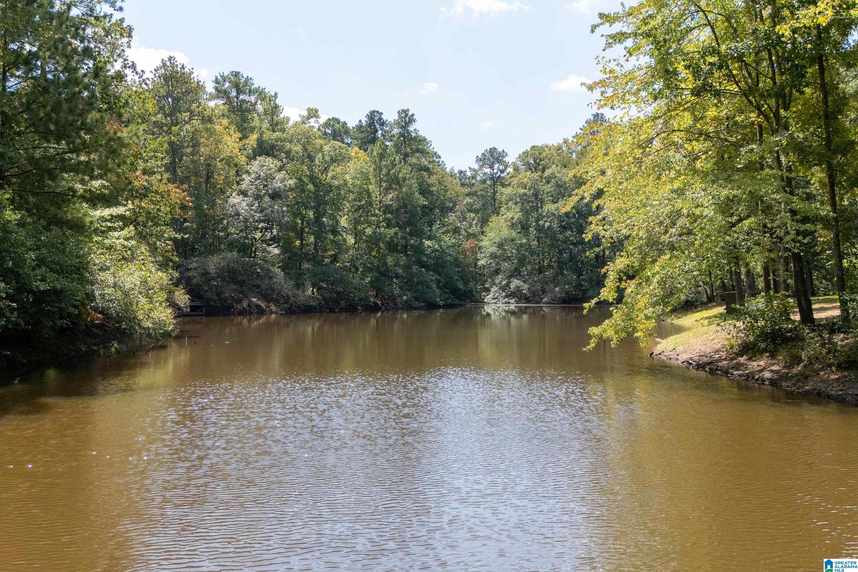 9215 Bear Creek Road Sterrett, AL 35147 - Photo 76 of 99