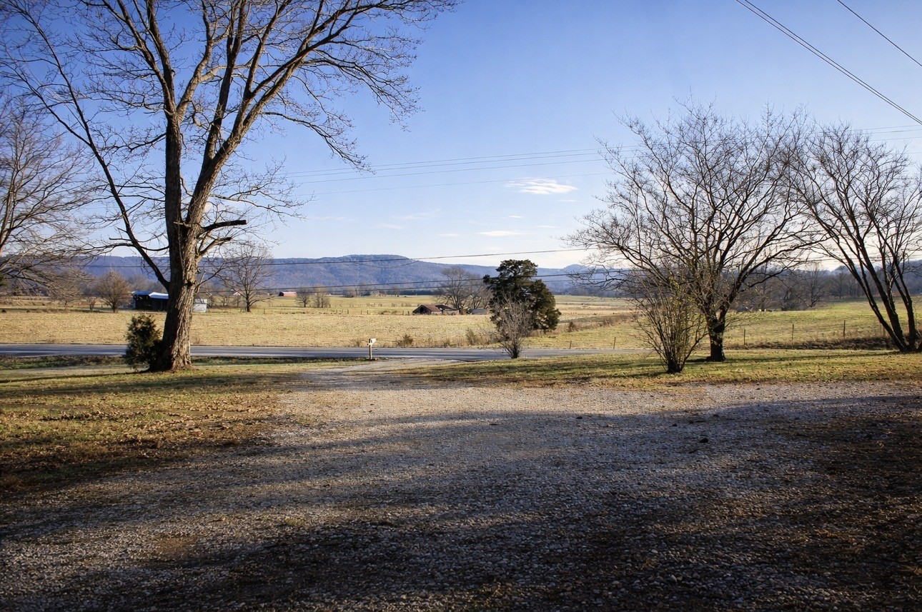 2633 Spencer Road Rock Island, TN 38581 - Photo 31 of 37 a view of dirt yard with a large tree