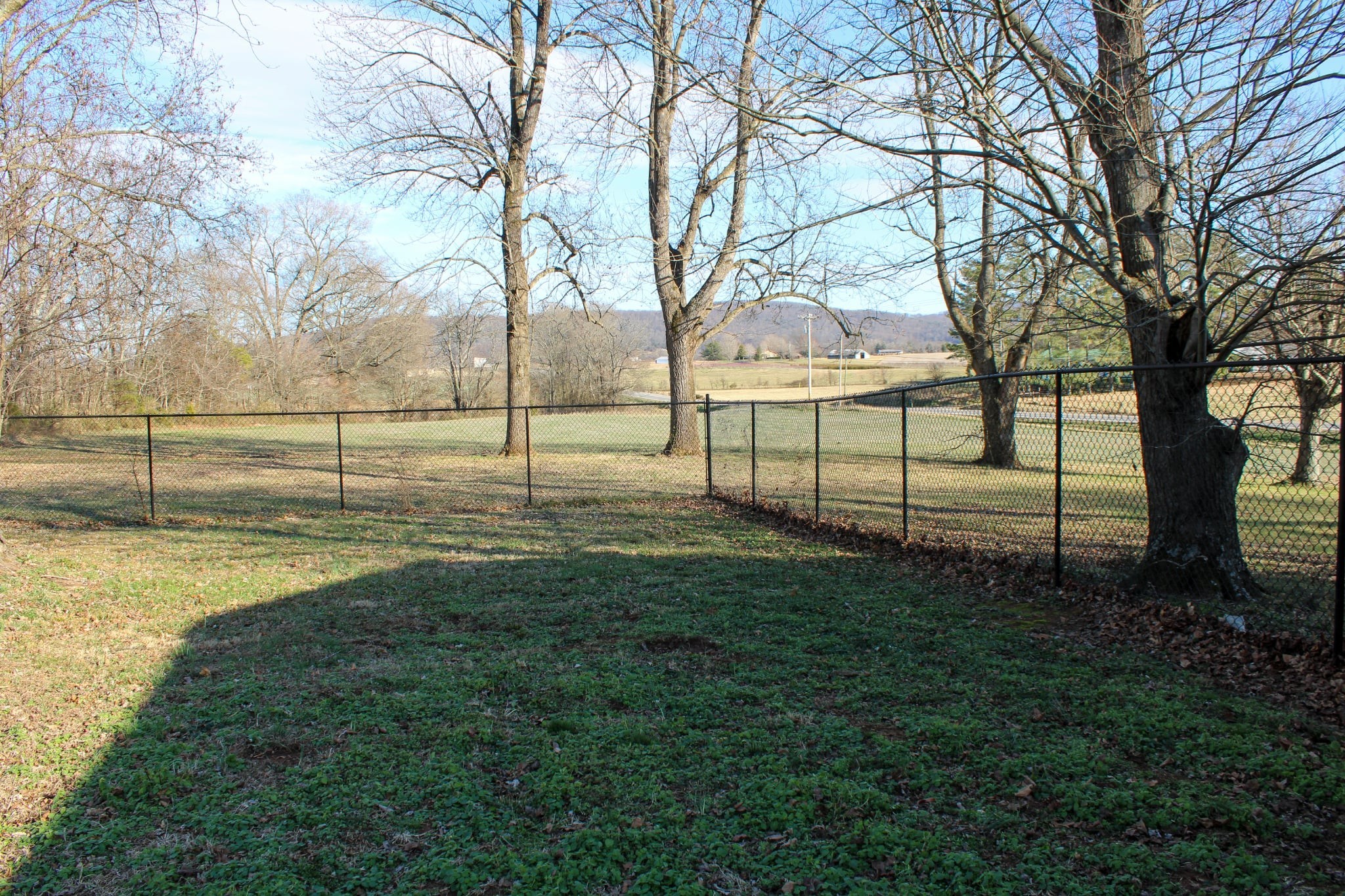 2633 Spencer Road Rock Island, TN 38581 - Photo 33 of 37 a view of a backyard with large tree