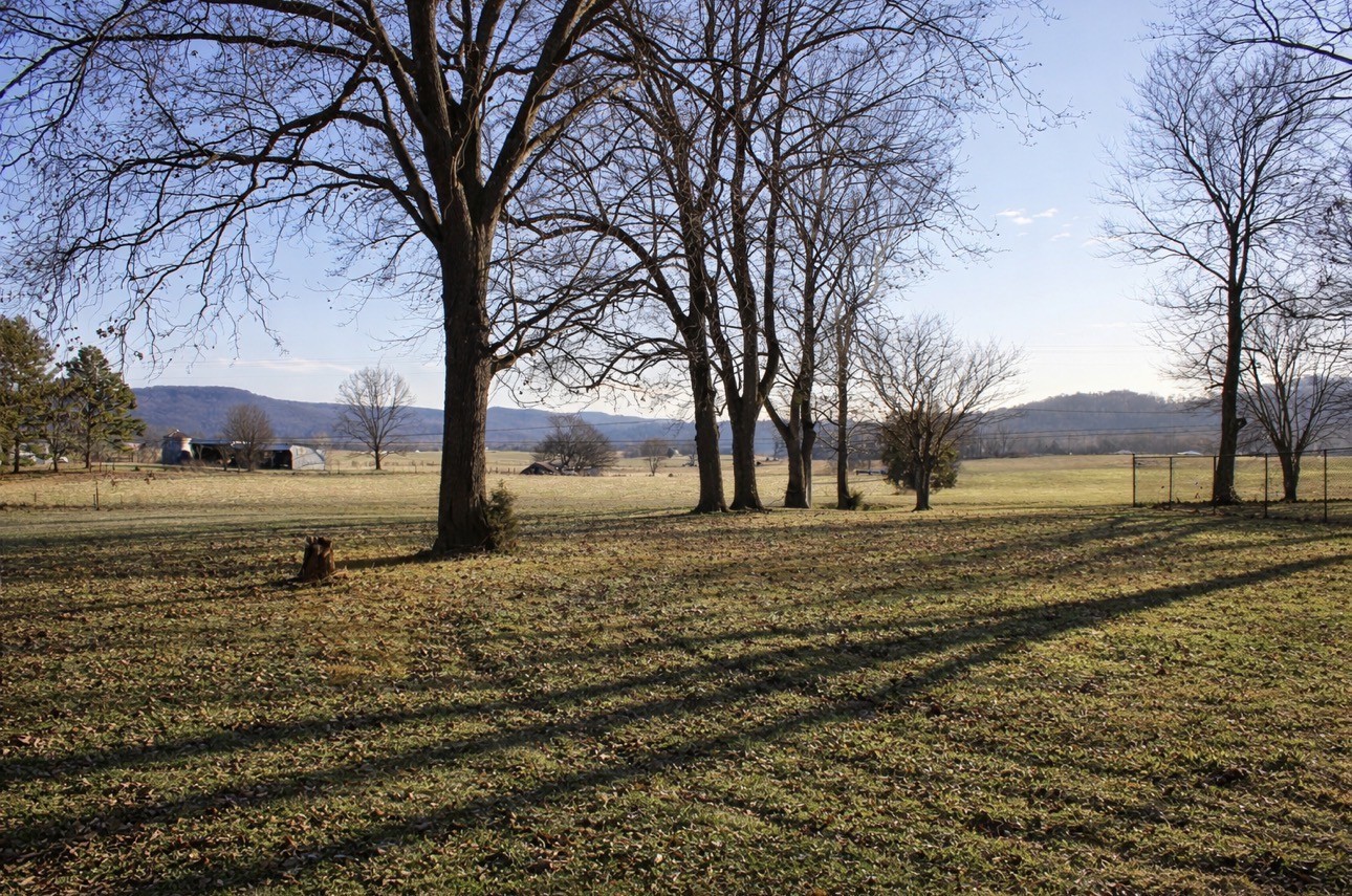 2633 Spencer Road Rock Island, TN 38581 - Photo 5 of 37 a view of dirt yard with a large tree