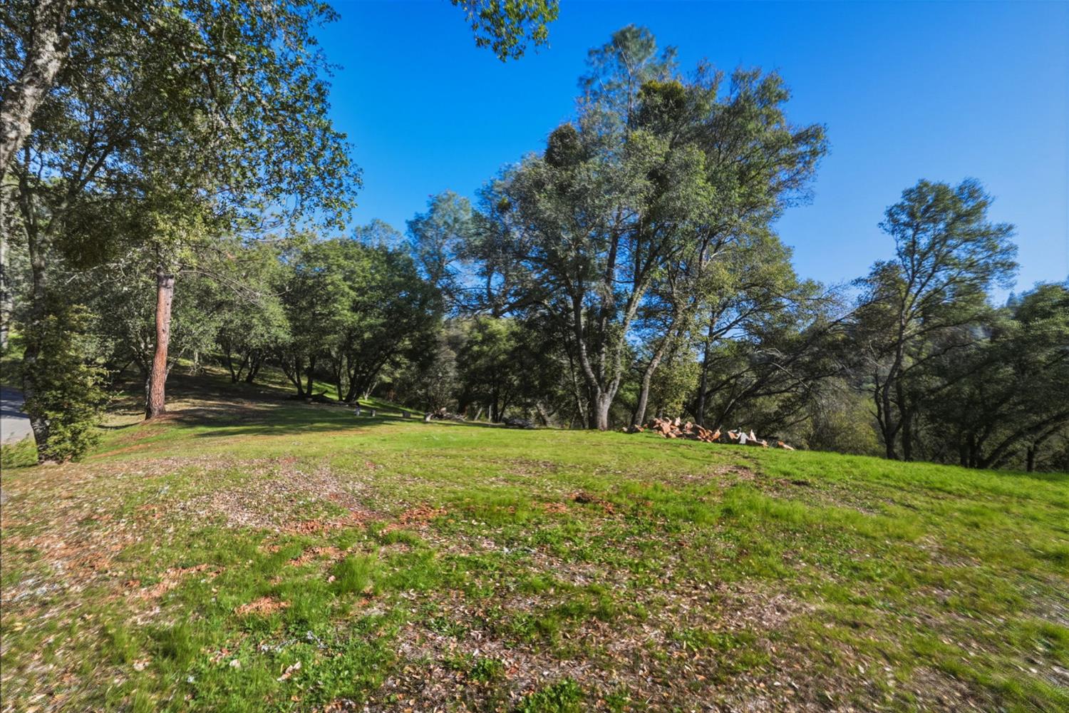 11 Upton Road Mount Aukum, CA 95656 - Photo 11 of 30 a view of outdoor space with trees all around