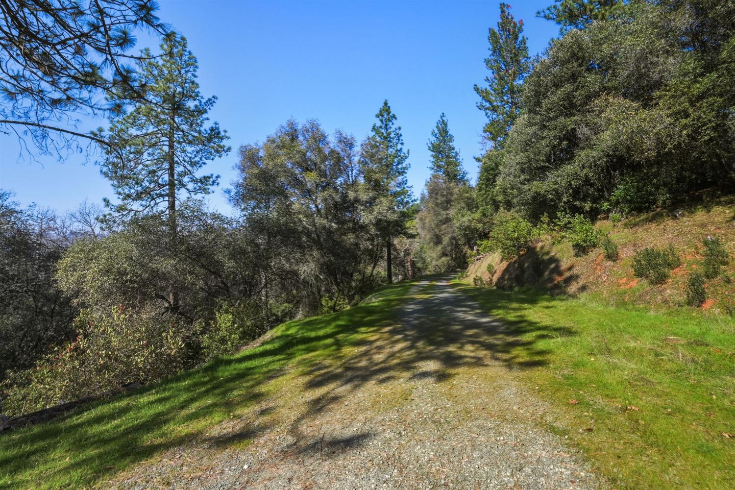 11 Upton Road Mount Aukum, CA 95656 - Photo 12 of 30