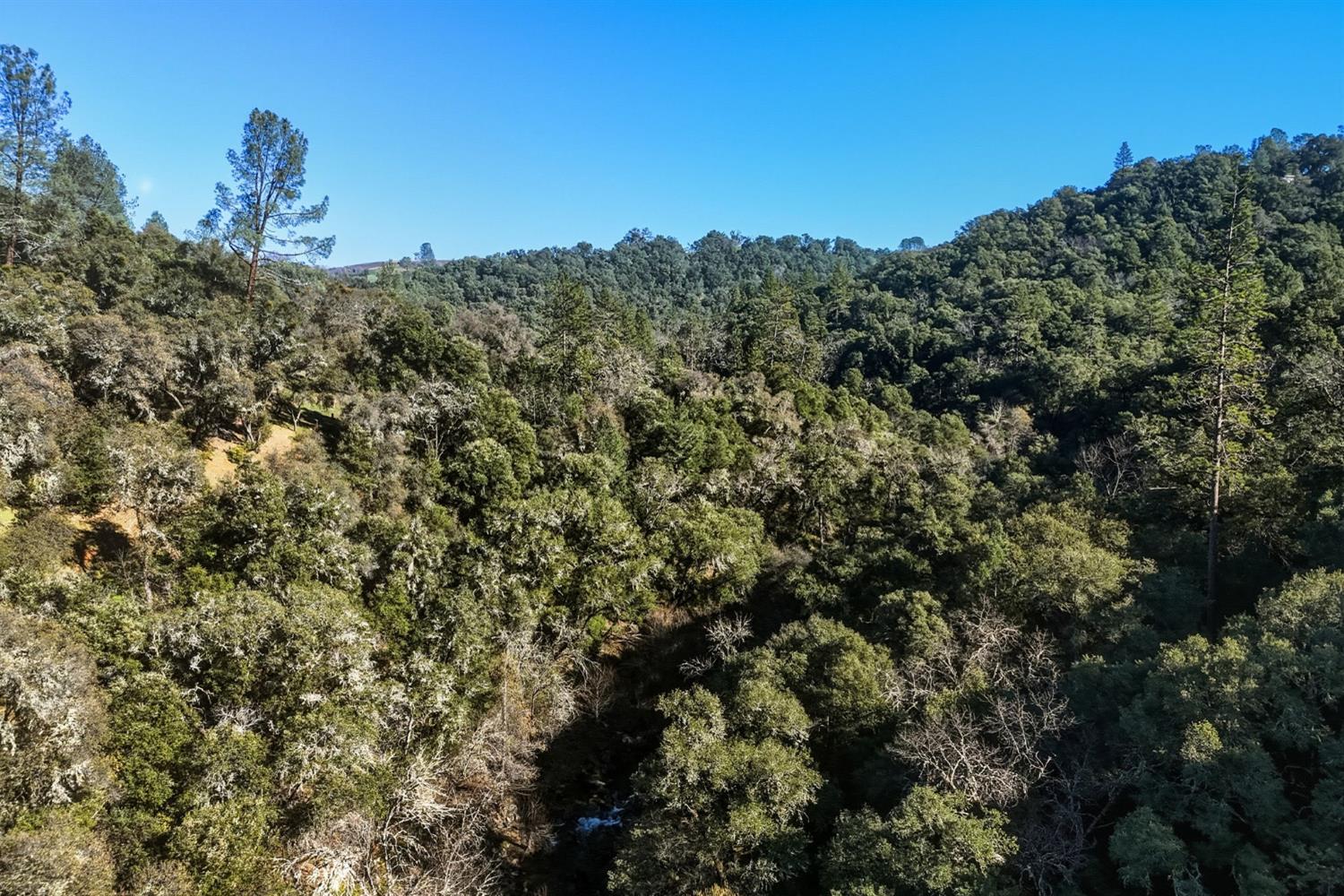 11 Upton Road Mount Aukum, CA 95656 - Photo 13 of 30 a view of a field of grass and trees