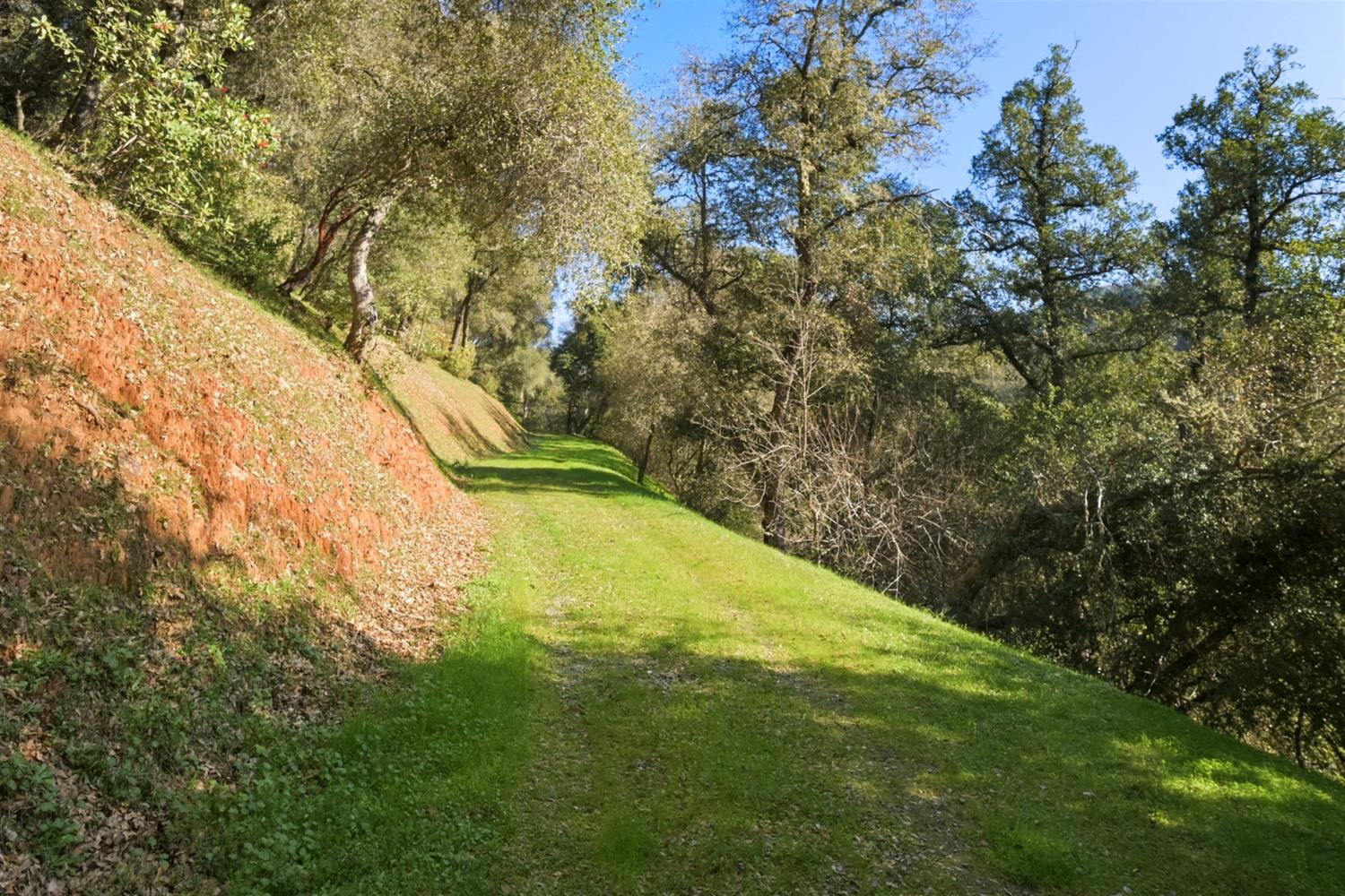 11 Upton Road Mount Aukum, CA 95656 - Photo 18 of 30 a view of a yard with a tree
