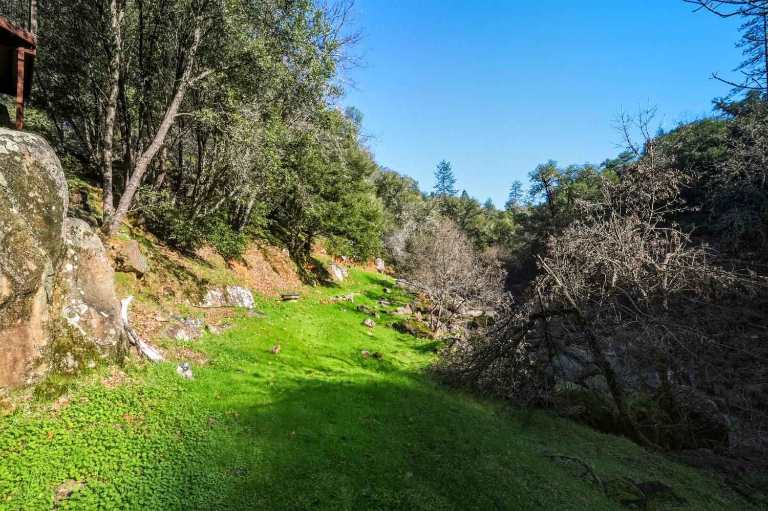 11 Upton Road Mount Aukum, CA 95656 - Photo 22 of 30 a view of a yard