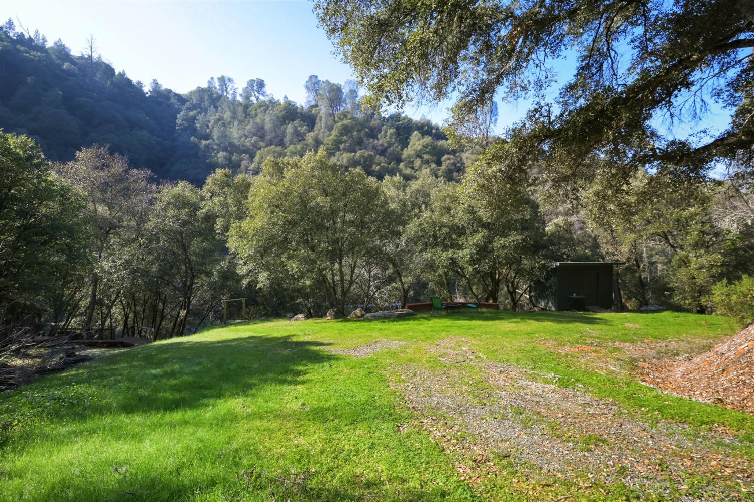 11 Upton Road Mount Aukum, CA 95656 - Photo 23 of 30 a view of a grassy field with trees in the background