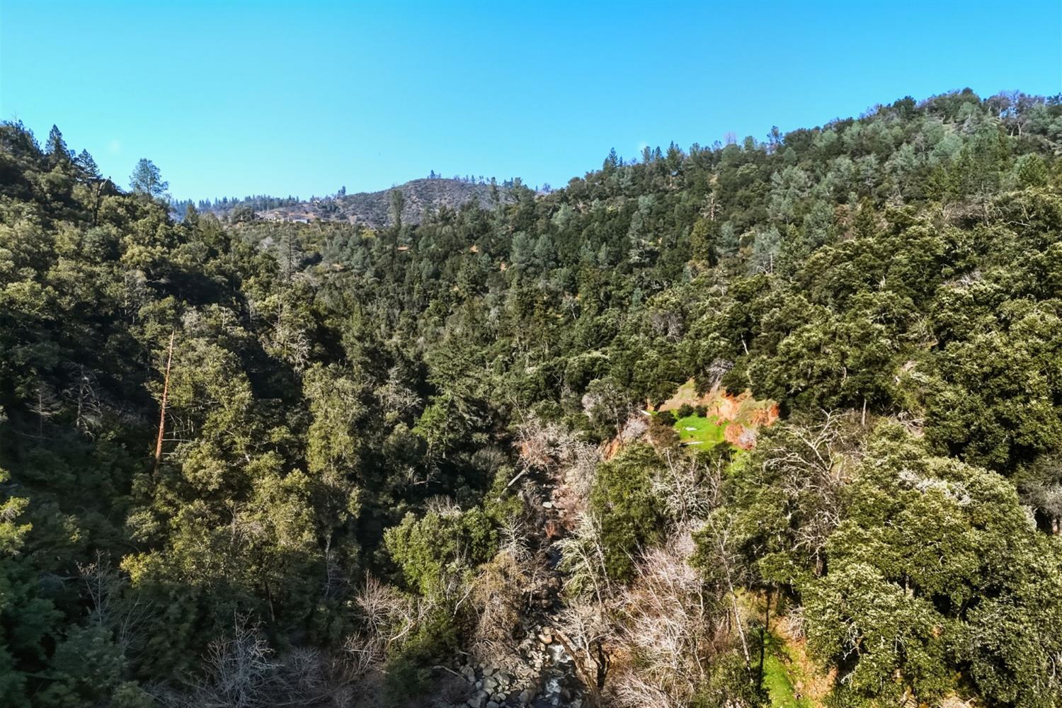 11 Upton Road Mount Aukum, CA 95656 - Photo 30 of 30 a view of a forest with a mountain