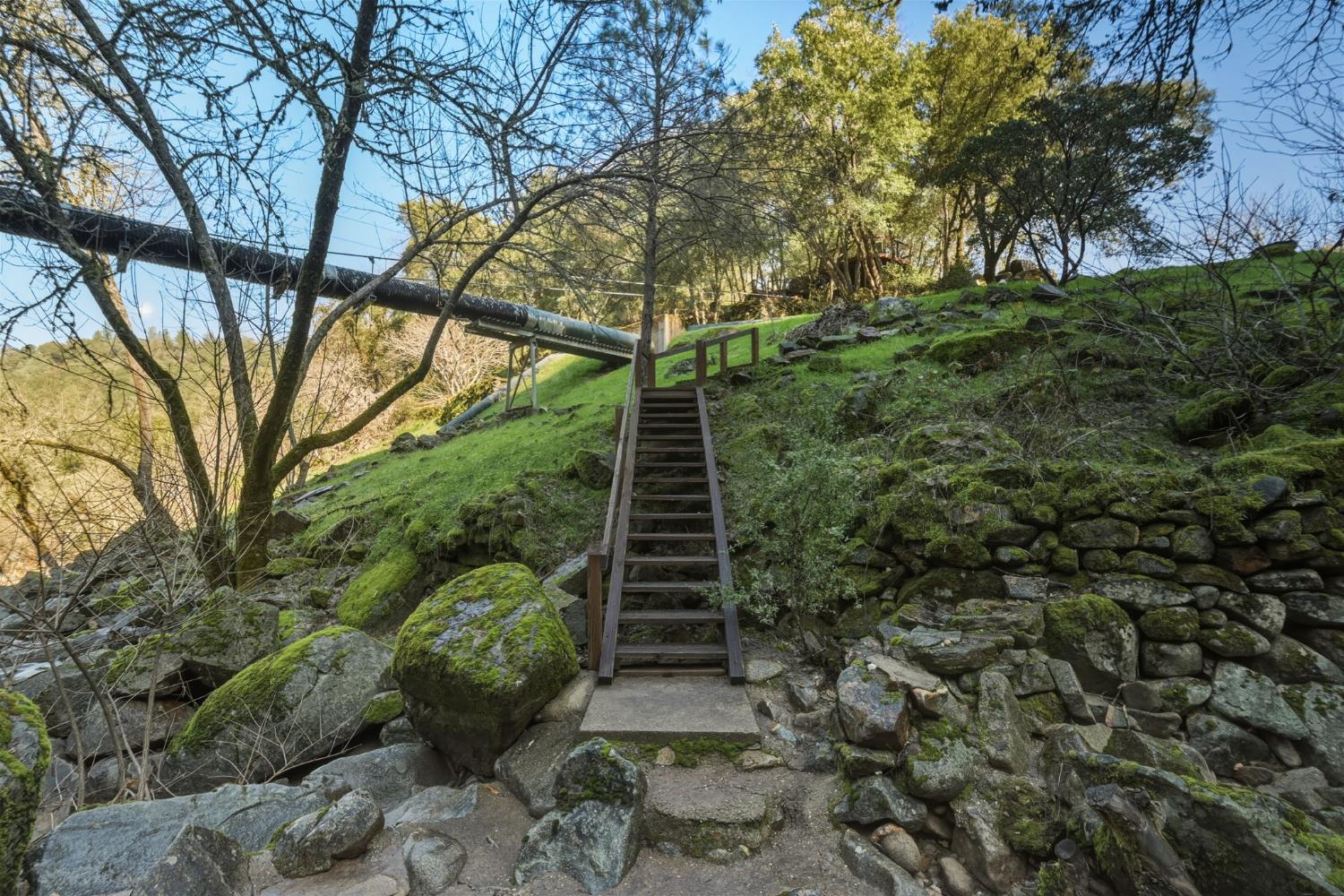 11 Upton Road Mount Aukum, CA 95656 - Photo 7 of 30 a view of a pathway of a tree