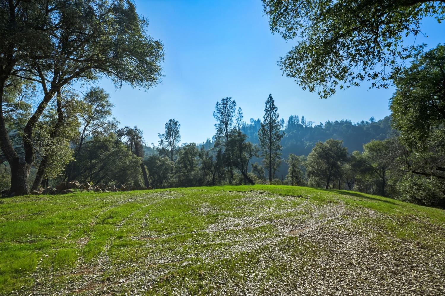 11 Upton Road Mount Aukum, CA 95656 - Photo 10 of 30 a view of a grassy field with trees in the background