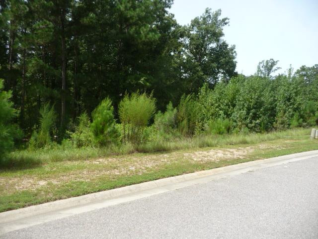 121 Commonwealth Way Aiken, SC 29803 - Photo 8 of 10
