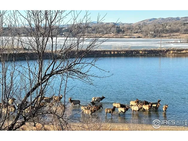 $2,070,000 | 263 Rossum Drive, Loveland, CO 80537