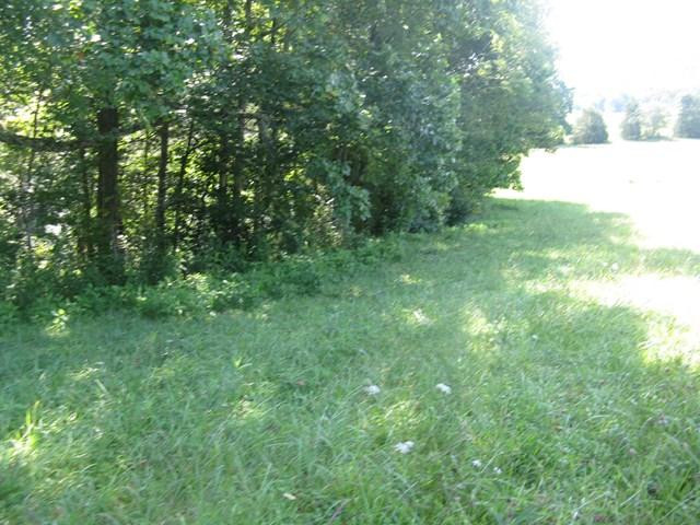 0 Sand Springs Road Mount Vernon, KY 40456 - Photo 3 of 5 Listing Photo