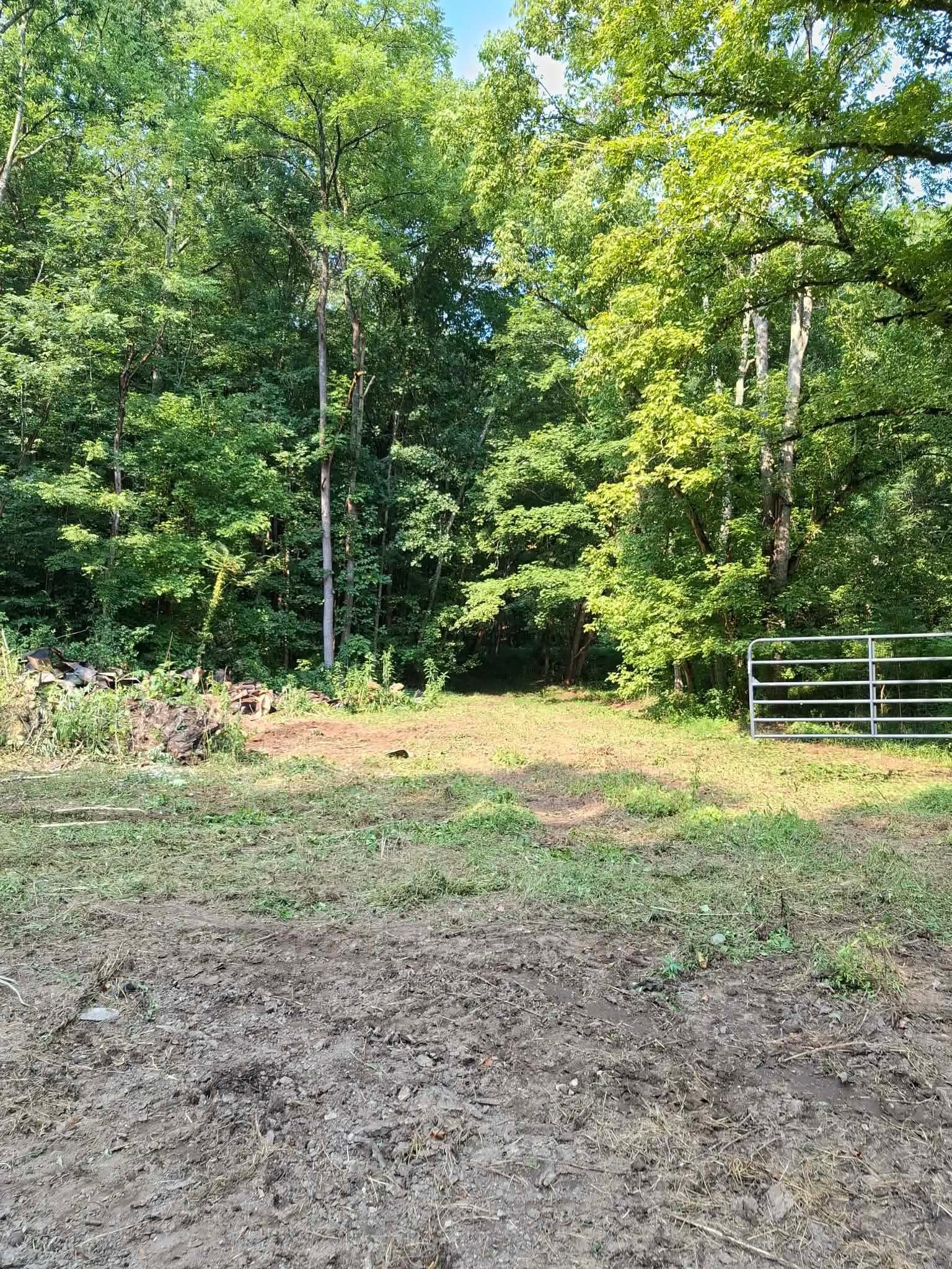 0 Wartrace Road Pleasant Shade, TN 37145 - Photo 40 of 42 Gallery Image 40