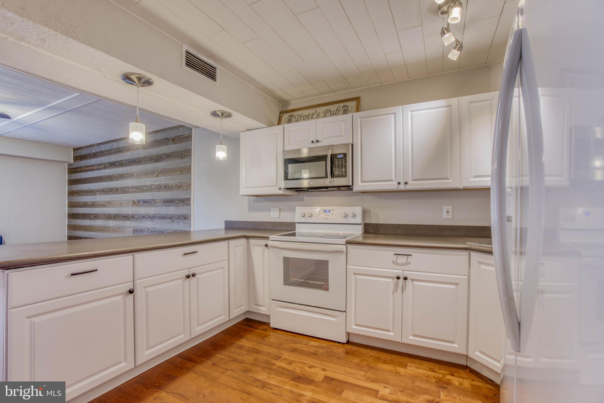 2 Center Road, Unit A2 Baltimore, MD 21286 - Photo 5 of 18 BeautifulKitchen w NEW Cabinets and Counters