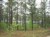 40 Timber Ridge Lakes Broxton, GA 31519 - Photo 1 of 1