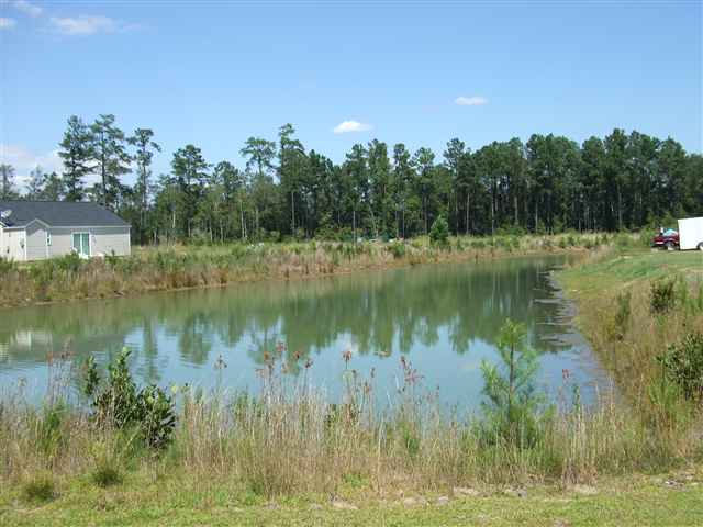 103 Murphy Way Conway, SC 29526 - Photo 14 of 14 Gallery Image 14