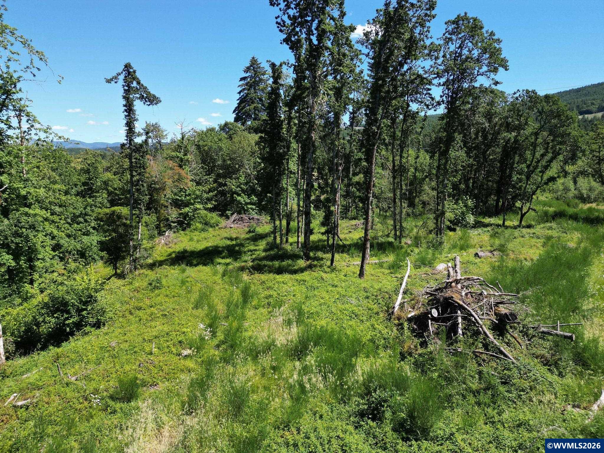 2702-2703 South Cedar Mill Road Lyons, OR 97358 - Photo 13 of 17